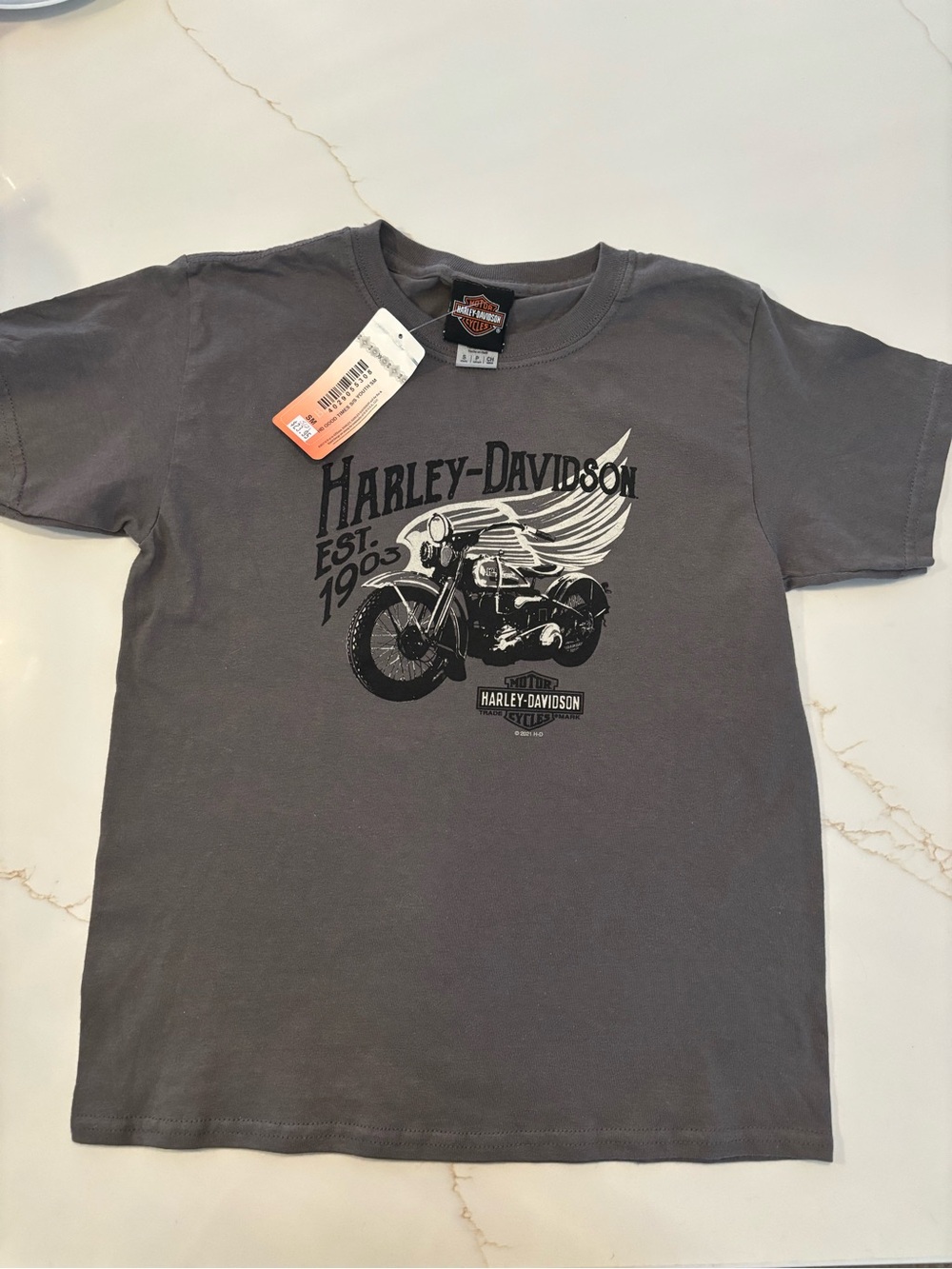 Harley-Davidson Gray Boys Motorcycle Graphic Tee